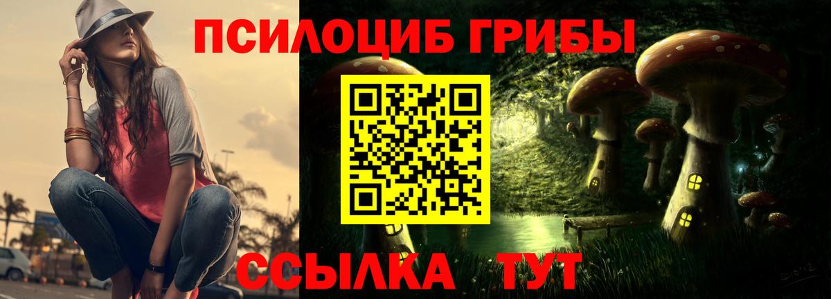 Псилоцибиновые грибы GOLDEN TEACHER  Вход с VPN  Соликамск 